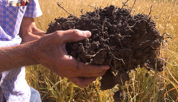 Inyectan agua de lluvia y regeneran suelos con tecnología del INIFAP |  Periódico Mirador