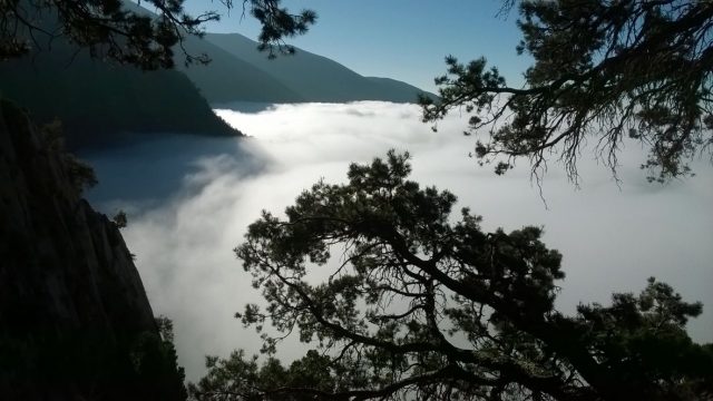 Vista desde la cueva del Chiquihuite, foto: Jesús Jehú de la Rosa